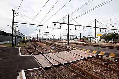 《宝可梦：大集结》“爆肌蚊”宣传片 8月4日上线