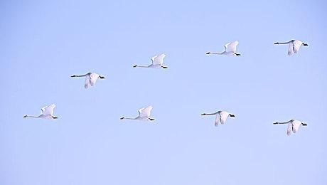 《超级马里奥RPG》设计师分享原版弃用草稿图